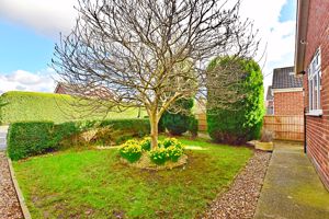 Photo 20- click for photo gallery